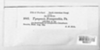 Image Associated With the Occurence
